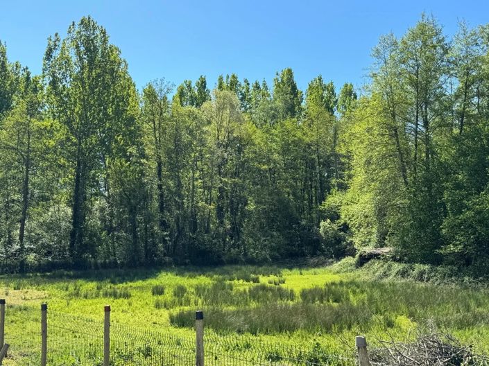 Image No.5-3 Bed House for sale