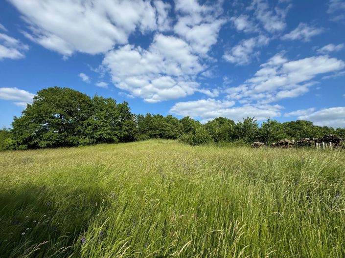 Image No.3-1 Bed House for sale