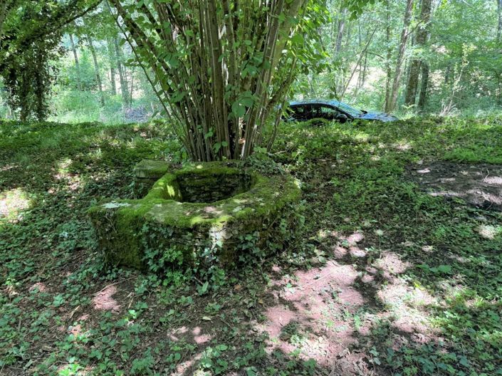 Image No.18-1 Bed House for sale