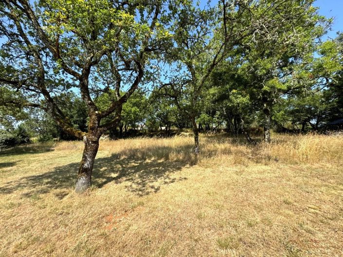 Image No.16-5 Bed House for sale