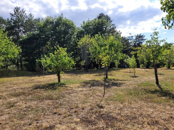 Image No.12-5 Bed House for sale