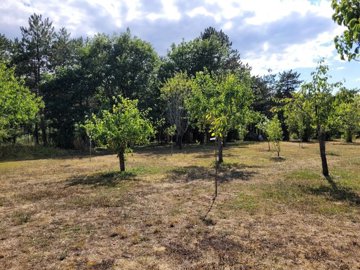 6c994552f6ebce8048bf4fecdd1112ee3ae83b544d192