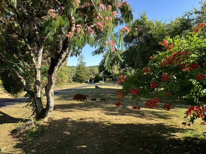 Image No.18-4 Bed House for sale