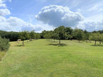 b786eb213c094e7976a997735abb34d225a5a25f6b144