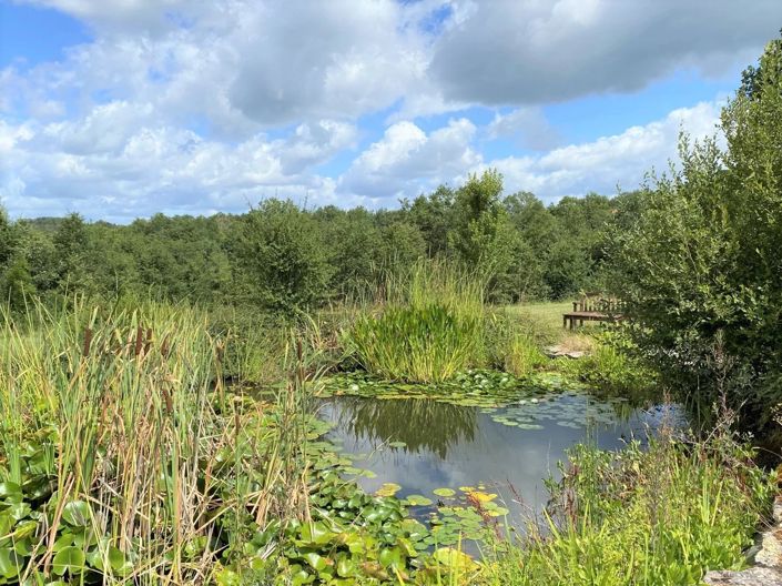 Image No.30-6 Bed House for sale