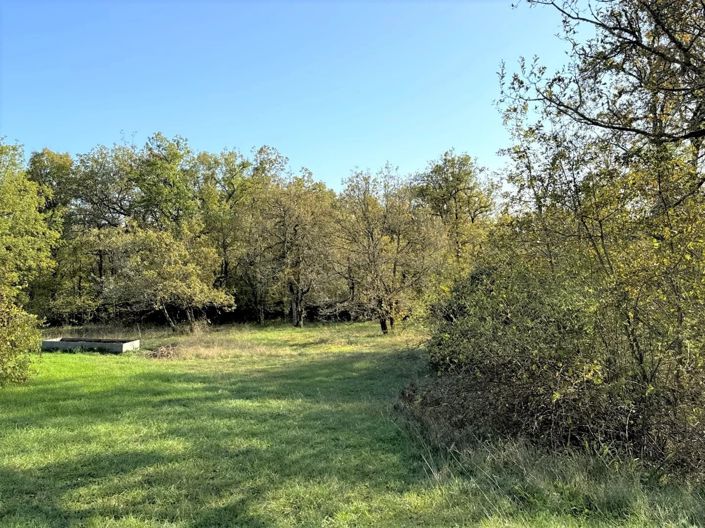 Image No.23-6 Bed House for sale