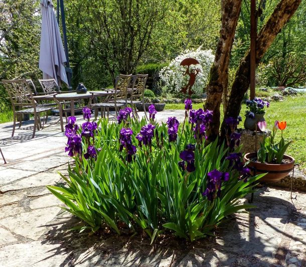 Image No.25-4 Bed House for sale