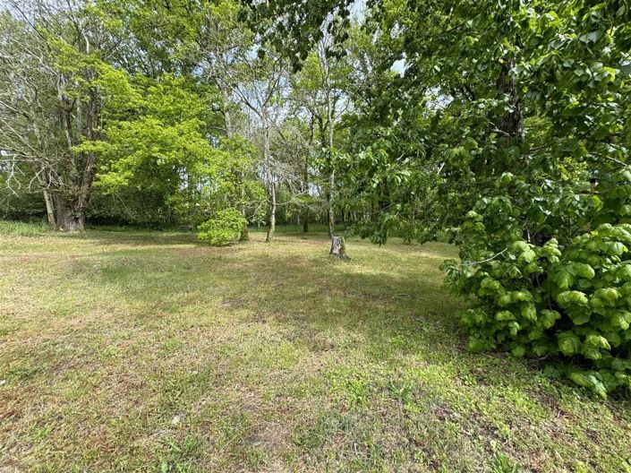 Image No.16-4 Bed House for sale