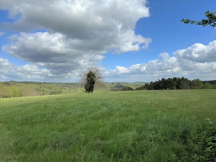 Image No.2-House for sale