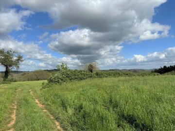 8f523aafdf9c5a60a8cc20f12fef6500898799b541144