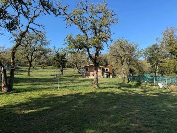 7fb8b2cc46b39c958a55d6078c481cdb14c4d077fa144