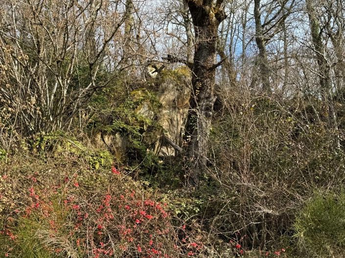 Image No.25-3 Bed House for sale