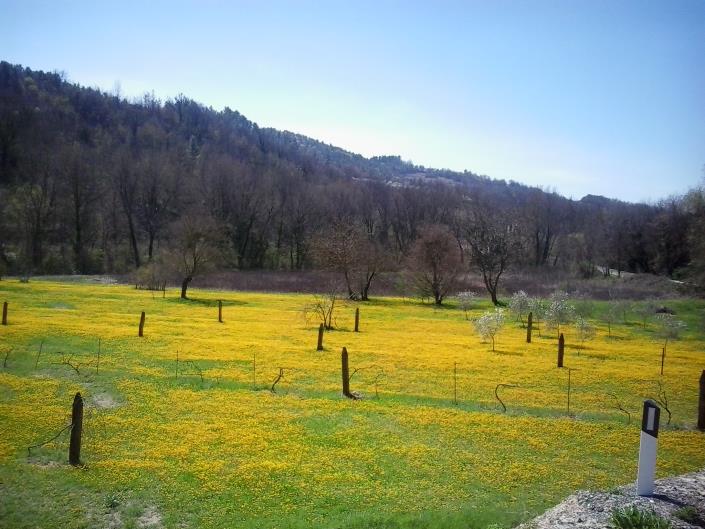 Image No.35-3 Bed House for sale