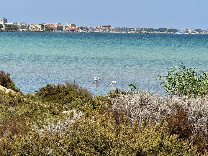 Image No.5-4 Bed House/Villa for sale