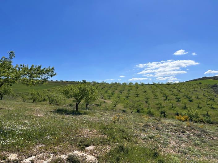 Image No.14-5 Bed Farmhouse for sale