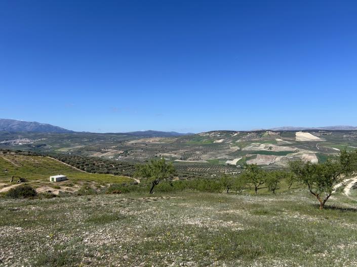 Image No.57-5 Bed Farmhouse for sale