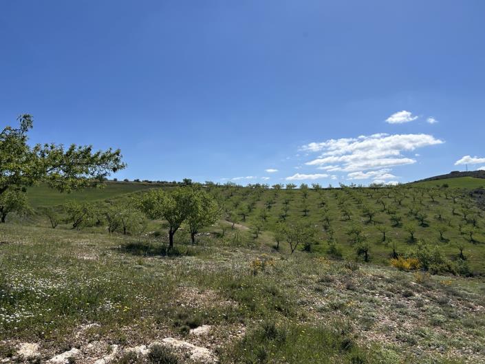 Image No.59-5 Bed Farmhouse for sale