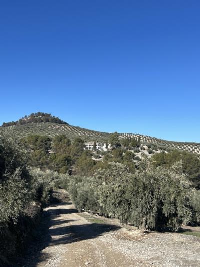 Image No.12-14 Bed Cortijo for sale