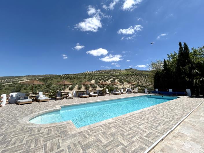 Image No.12-15 Bed Commercial for sale