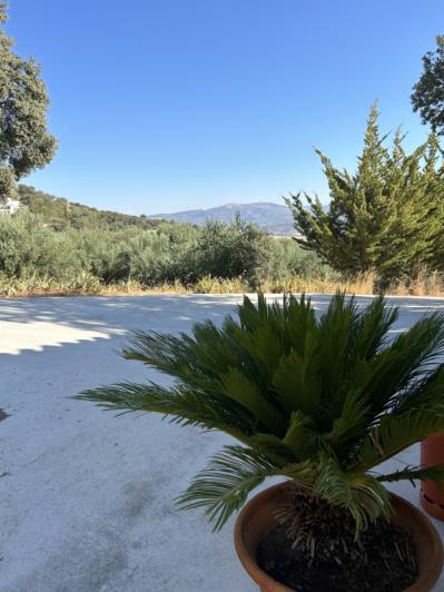 Image No.19-3 Bed Cortijo for sale