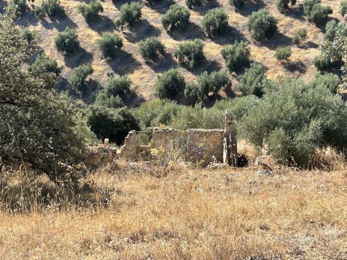 Image No.39-3 Bed Cortijo for sale