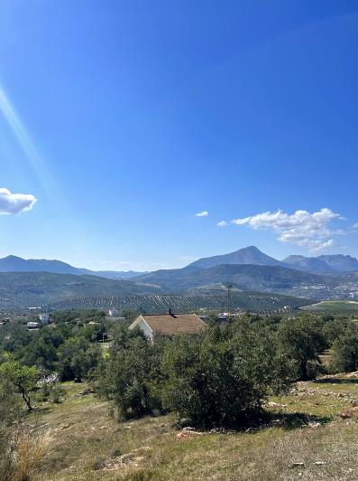 Image No.6-2 Bed Cortijo for sale