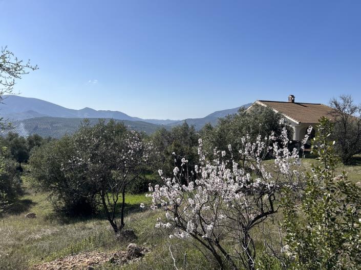 Image No.19-2 Bed Cortijo for sale