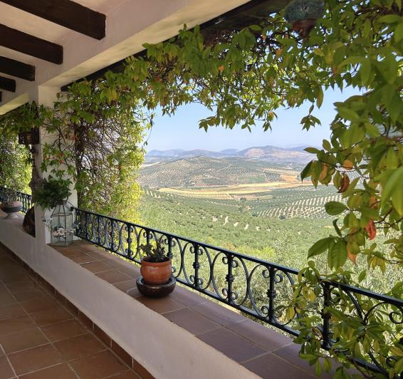 Image No.45-2 Bed Country House for sale