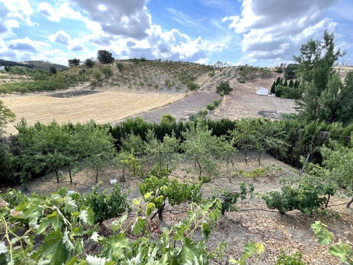 Image No.38-7 Bed Cortijo for sale