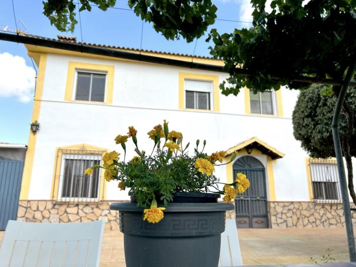Image No.41-7 Bed Cortijo for sale