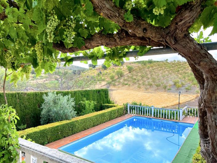 Image No.3-7 Bed Cortijo for sale