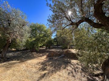 IMG_7838-Large