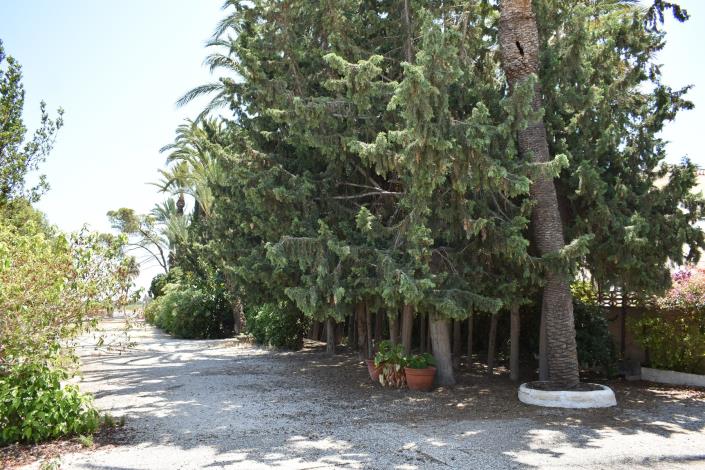 Image No.3-4 Bed Country House for sale