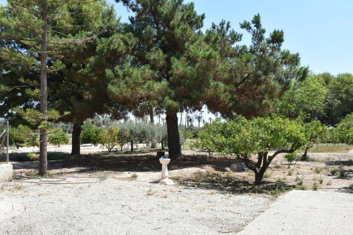 Image No.22-4 Bed Country House for sale