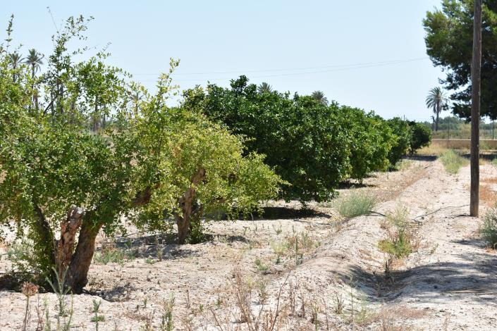 Image No.28-4 Bed Country House for sale