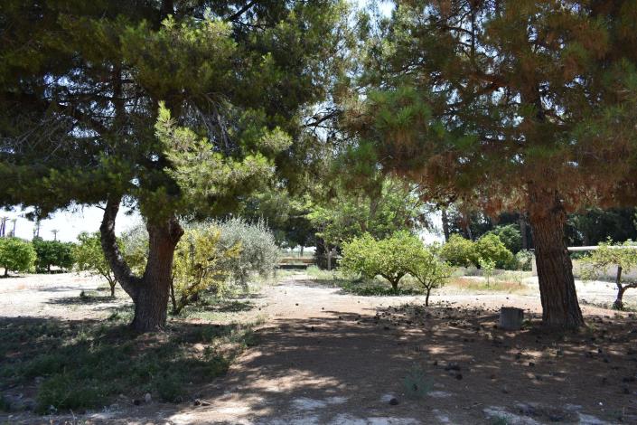 Image No.29-4 Bed Country House for sale