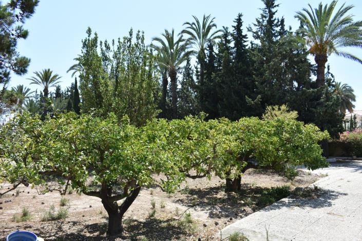 Image No.31-4 Bed Country House for sale