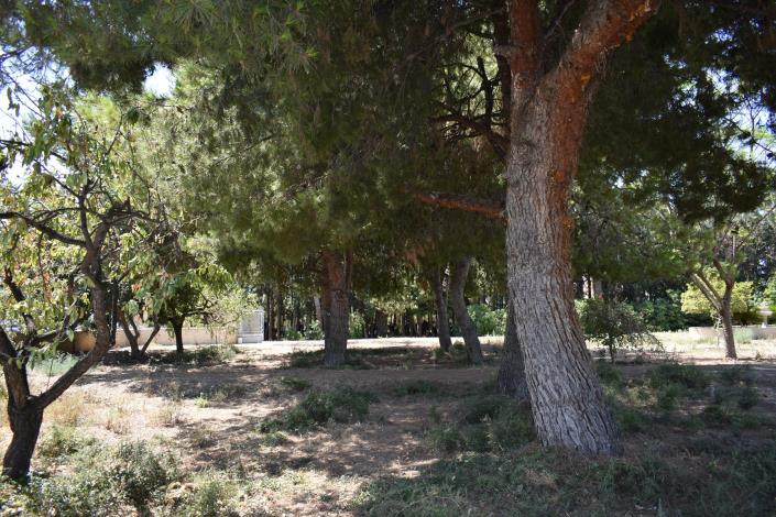 Image No.33-4 Bed Country House for sale