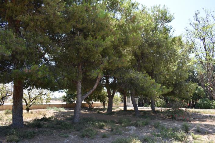 Image No.35-4 Bed Country House for sale