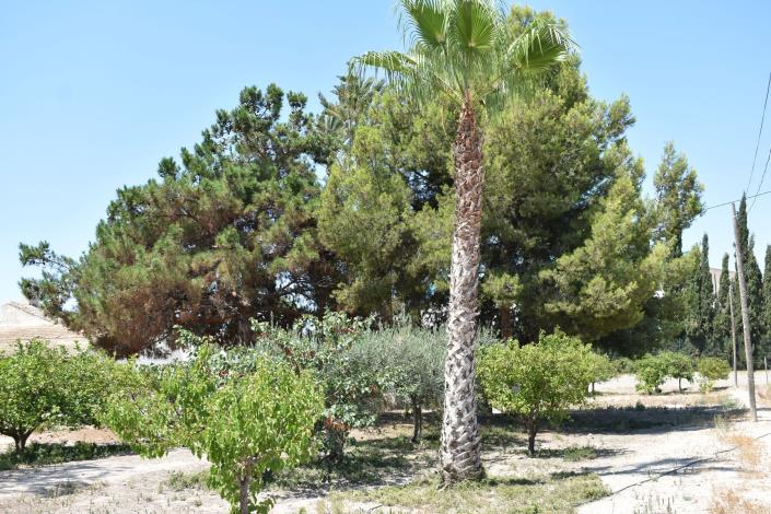 Image No.38-4 Bed Country House for sale