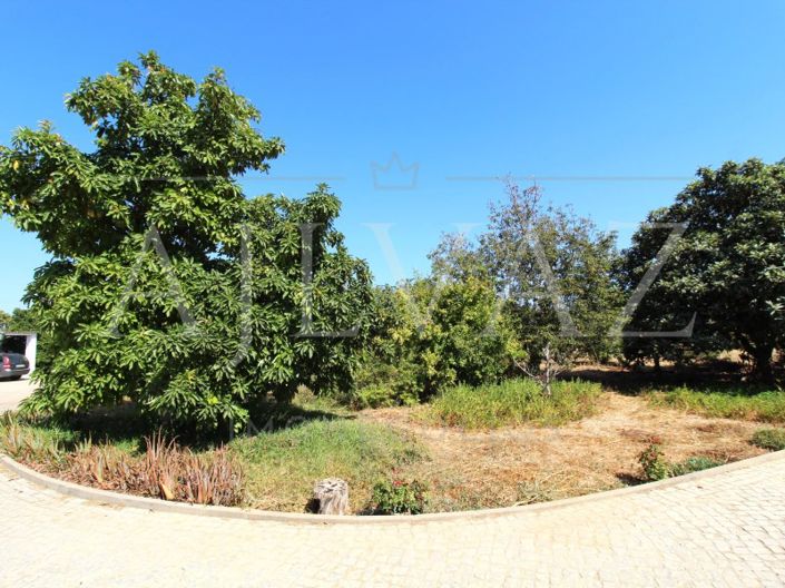 Image No.5-5 Bed House for sale