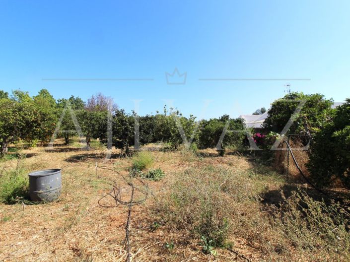 Image No.6-5 Bed House for sale