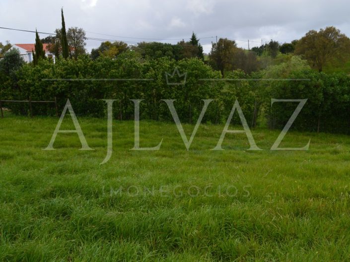 Image No.16-3 Bed House for sale