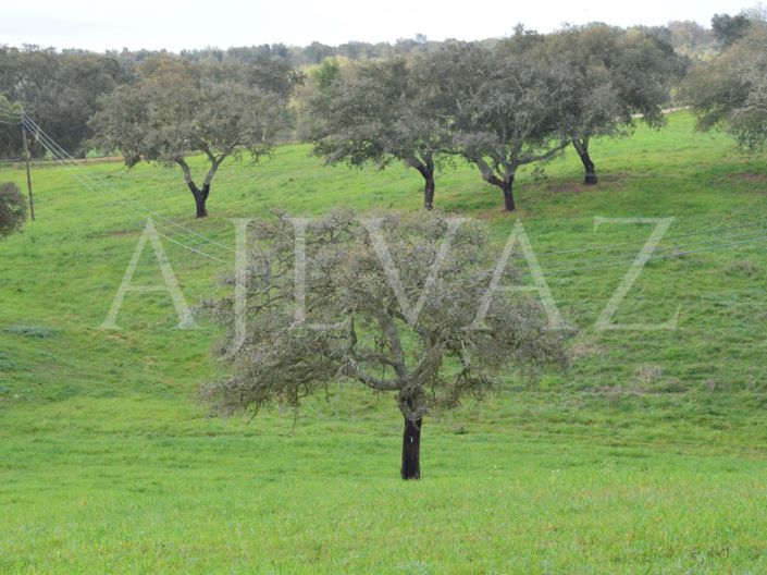 Image No.2-3 Bed House for sale