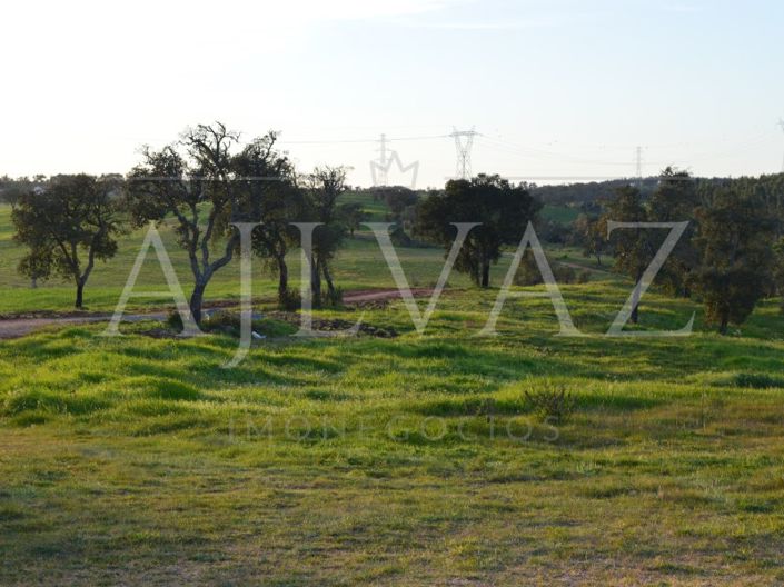 Image No.23-Plot for sale