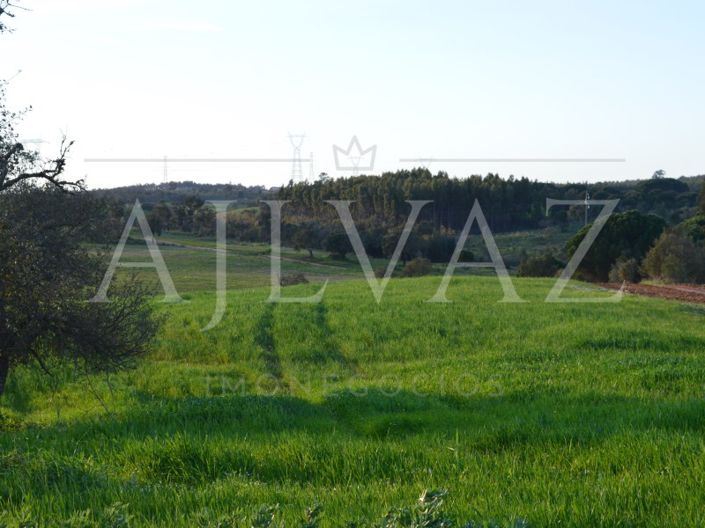 Image No.27-Plot for sale