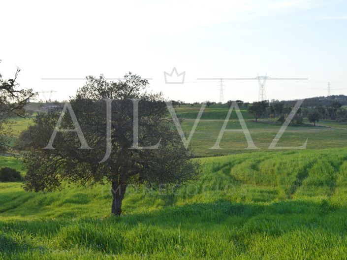 Image No.28-Plot for sale