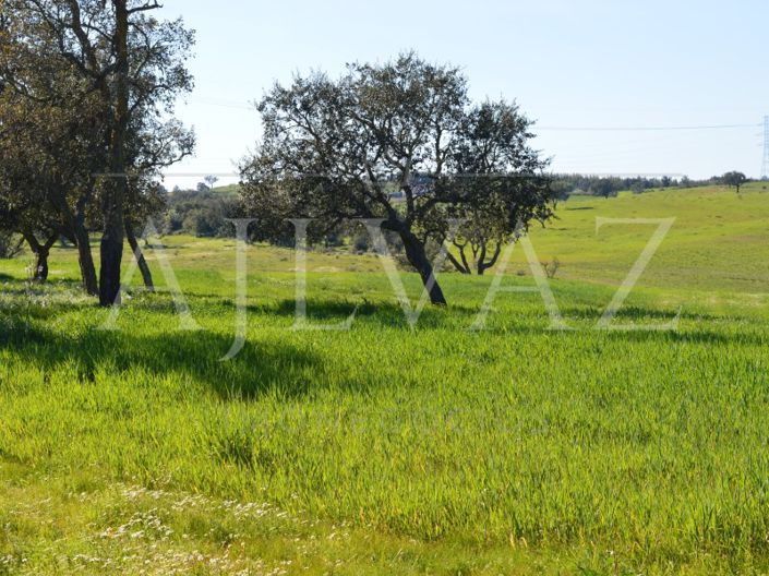 Image No.7-Plot for sale