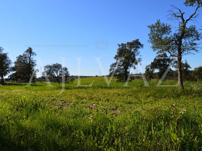 Image No.8-Plot for sale