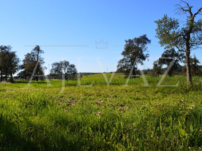 Image No.9-Plot for sale